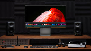 Why More and More Video Monitors Are Relying USB-C